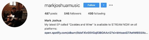 sample Instagram musician profile with Spotify link