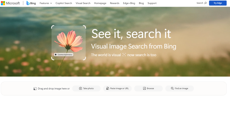 Bing