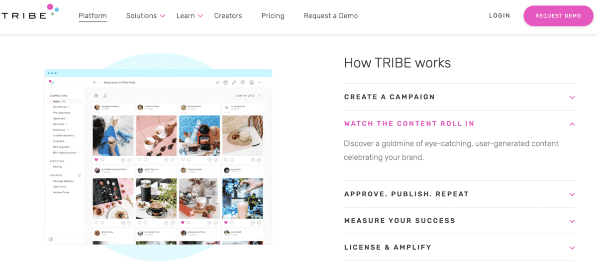 TRIBE influencer marketing platform