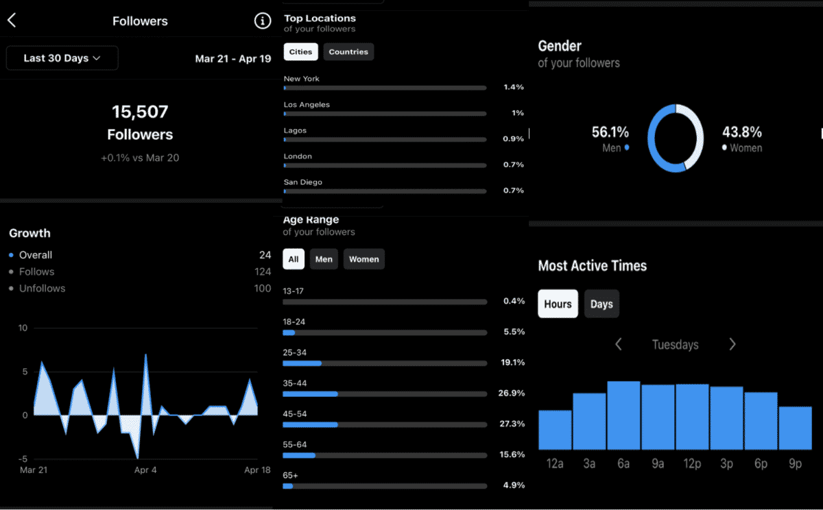 instagram insights example