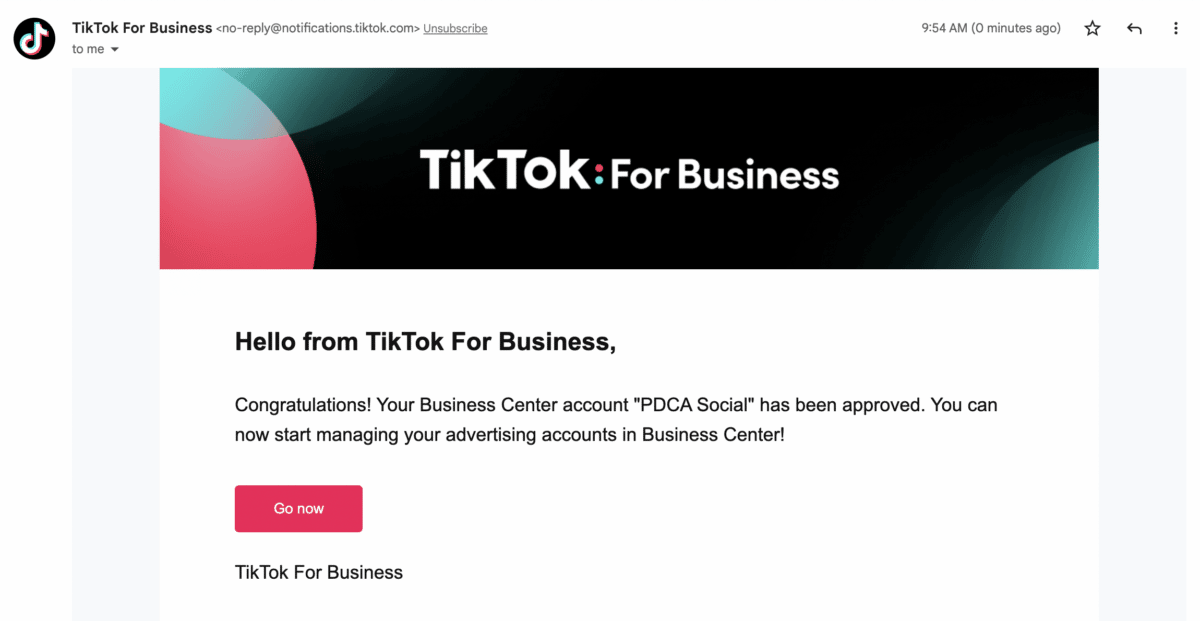 TikTok for Business ads account approval email