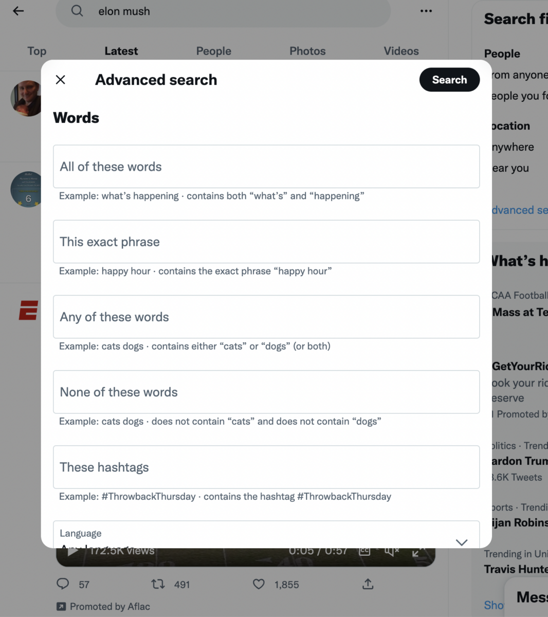 twitter advanced search window