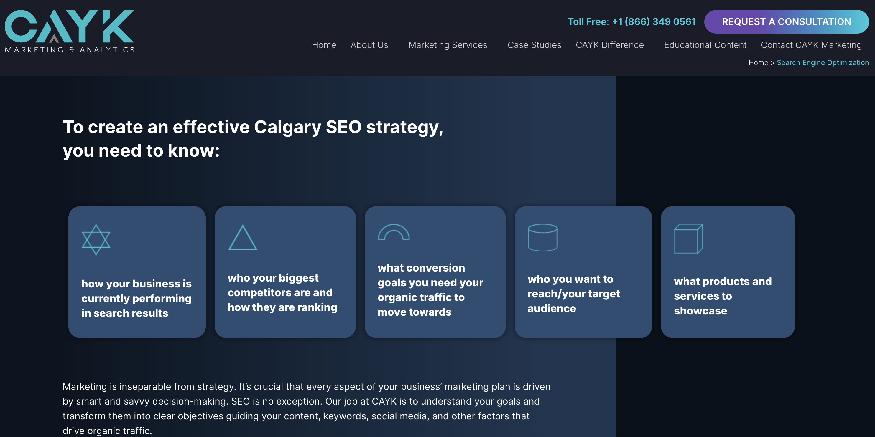 CAYK Marketing & Analytics SEO Services