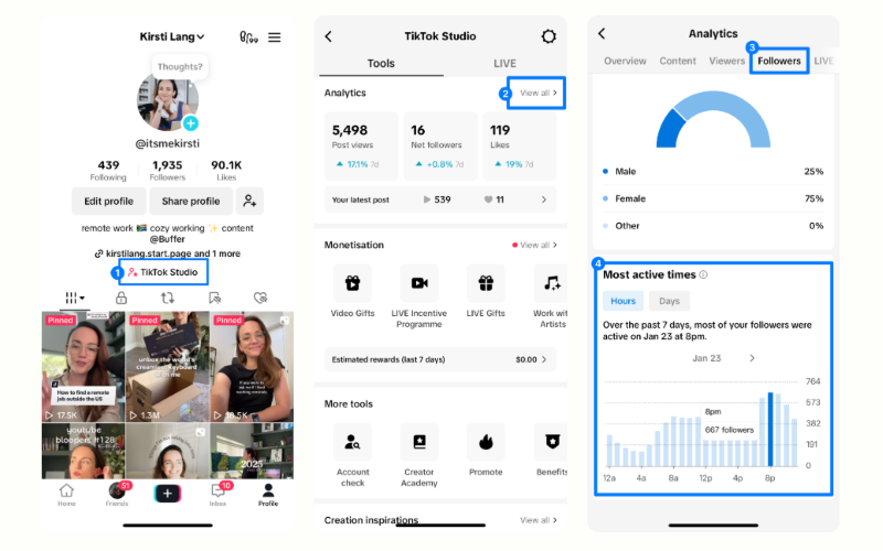 Tiktok In-App Analyticss