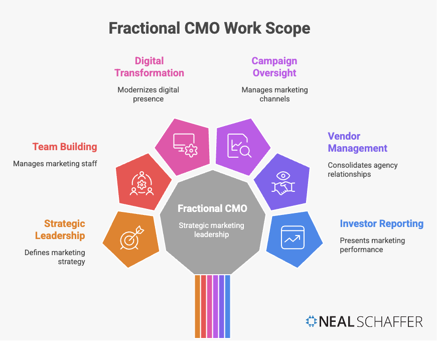 What Does a Fractional CMO Actually Do?