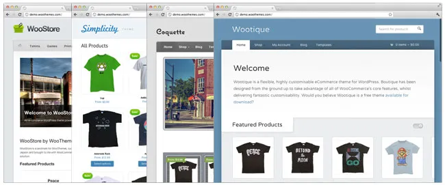 WooCommerce Interface