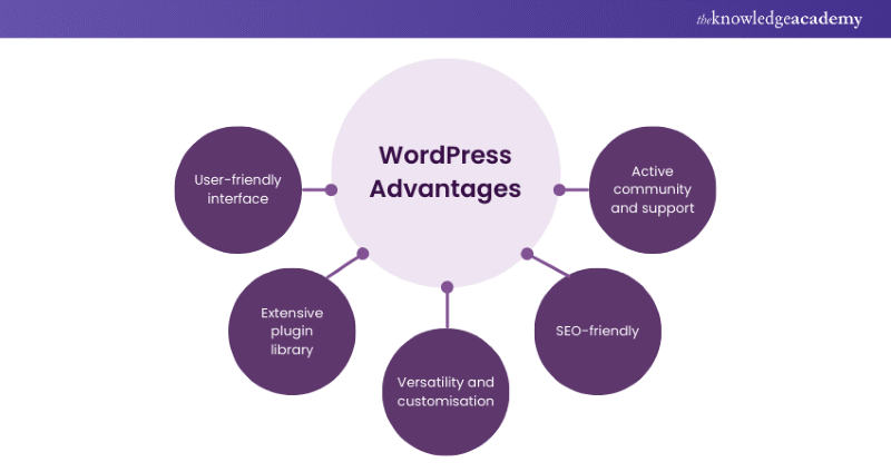 WordPress Advantages