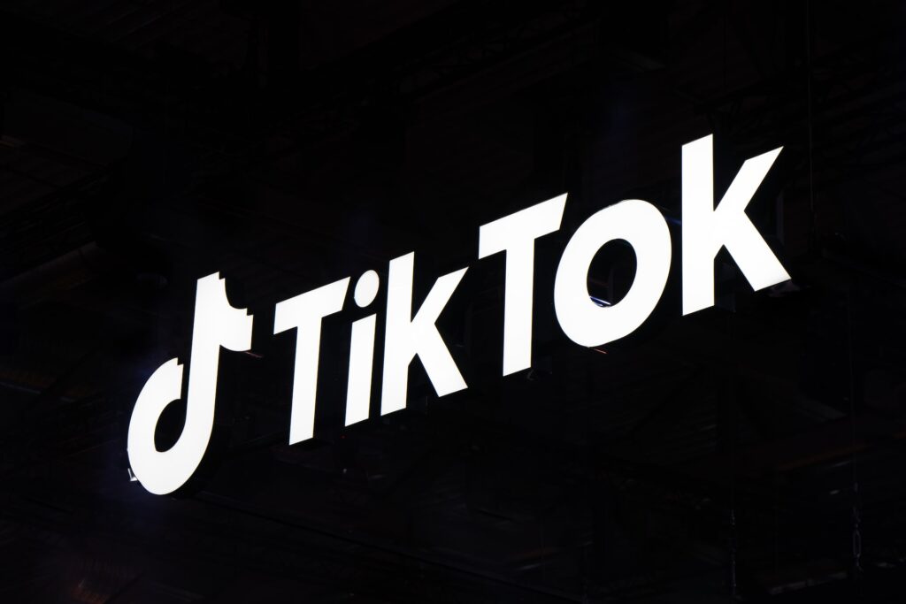 19 Famous TikTokers To Follow And Learn From