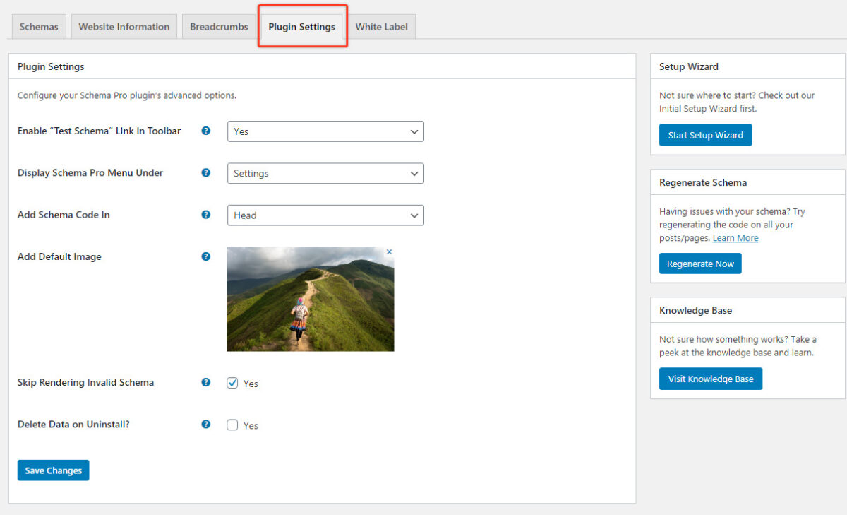 Schema Pro Plugin Settings screenshot