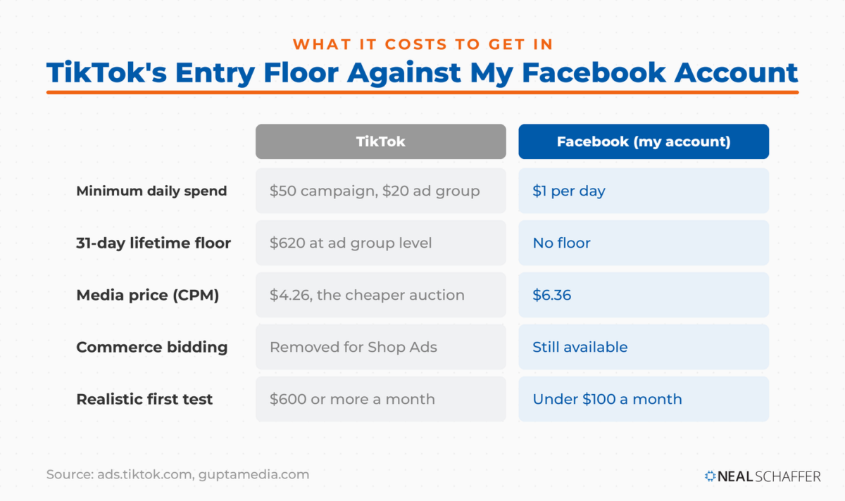 Comparison table of TikTok's entry costs against Neal Schaffer's Facebook ad account